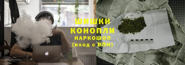 ГАЛЛЮЦИНОГЕННЫЕ ГРИБЫ Арсеньев