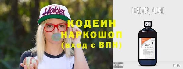 ГАЛЛЮЦИНОГЕННЫЕ ГРИБЫ Арсеньев