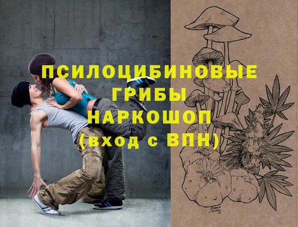ГАЛЛЮЦИНОГЕННЫЕ ГРИБЫ Арсеньев