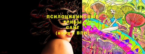 ГАЛЛЮЦИНОГЕННЫЕ ГРИБЫ Арсеньев