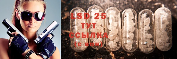 ГАЛЛЮЦИНОГЕННЫЕ ГРИБЫ Арсеньев