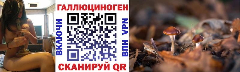 Псилоцибиновые грибы ЛСД  Калачинск 