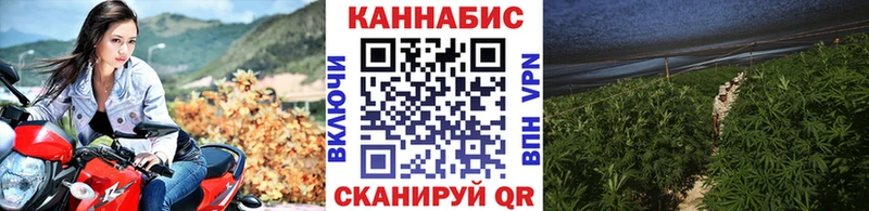 где купить наркотик  Калачинск  МАРИХУАНА гибрид 